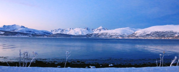 Utsikt över Kvaløya